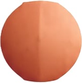 a pair of earrings with a gold disc.jpg